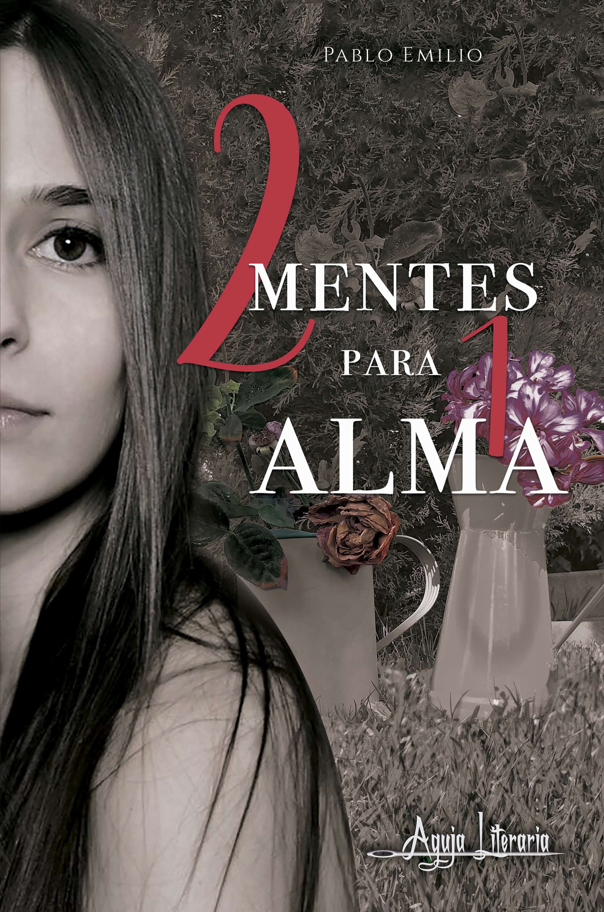 Обложка книги «Dos mentes para un alma»