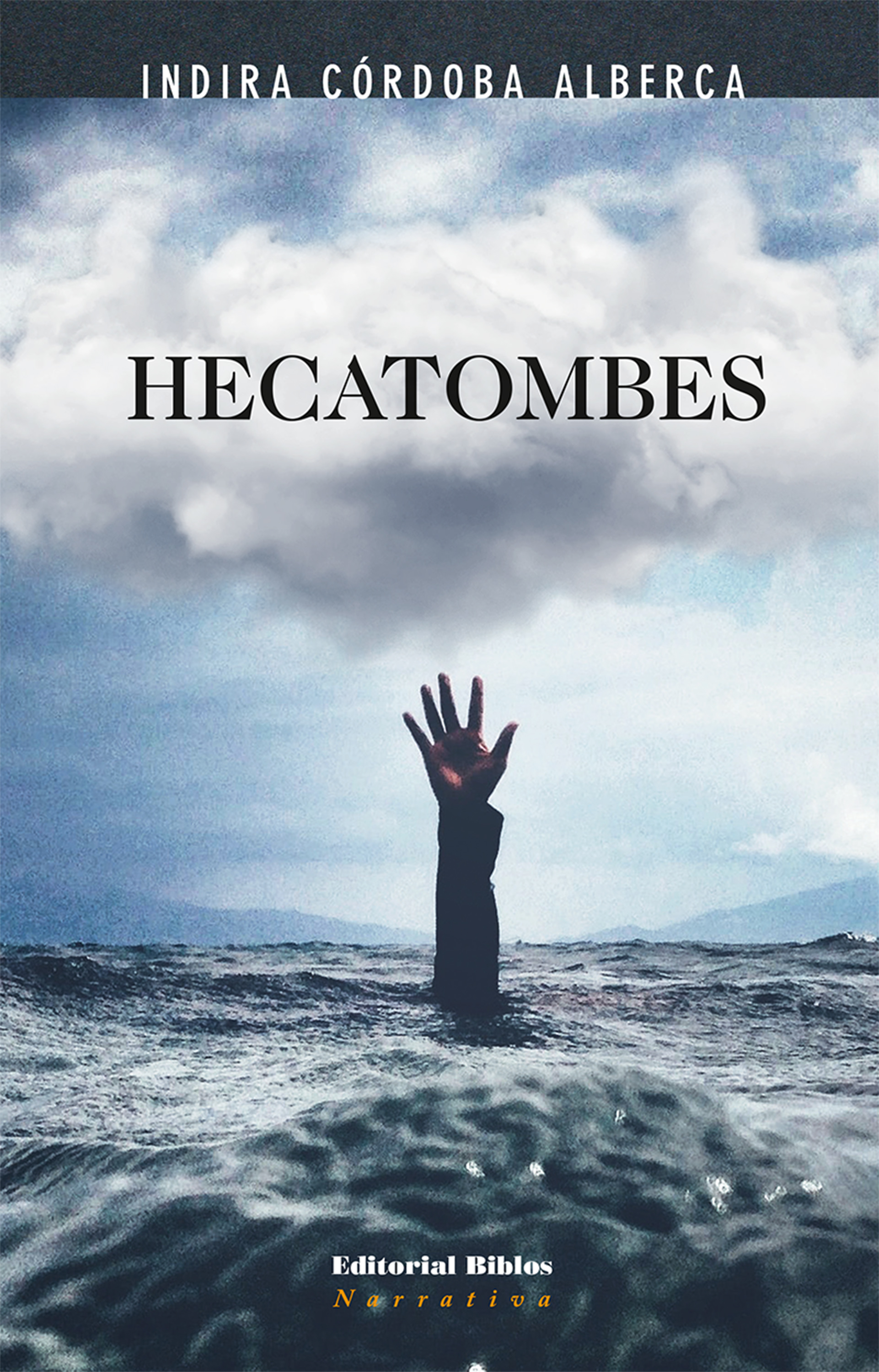 Обложка книги «Hecatombes»