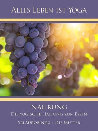 Обложка книги «Nahrung»