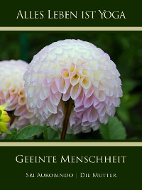 Обложка книги «Geeinte Menschheit»