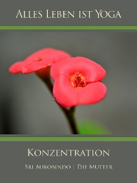 Обложка книги «Konzentration»