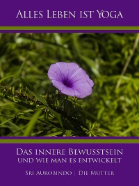 Обложка книги «Das innere Bewusstsein und wie man es entwickelt»