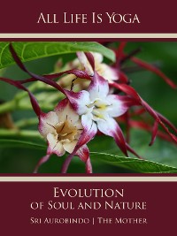 Обложка книги «All Life Is Yoga: Evolution of Soul and Nature»
