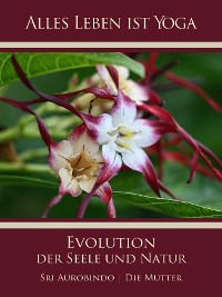 Обложка книги «Die Evolution der Seele und Natur»