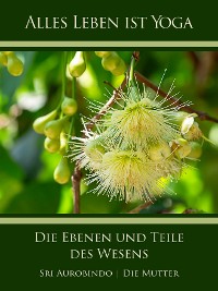 Обложка книги «Die Ebenen und Teile des Wesens»