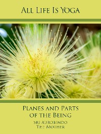 Обложка книги «All Life Is Yoga: Planes and Parts of the Being»