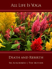 Обложка книги «All Life Is Yoga: Death and Rebirth»