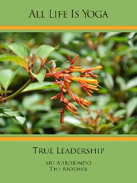 Обложка книги «All Life Is Yoga: True Leadership»