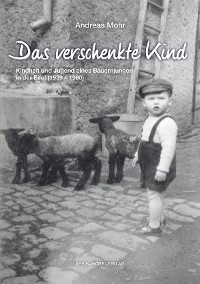 Обложка книги «Das verschenkte Kind»