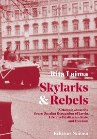 Обложка книги «Skylarks and Rebels»
