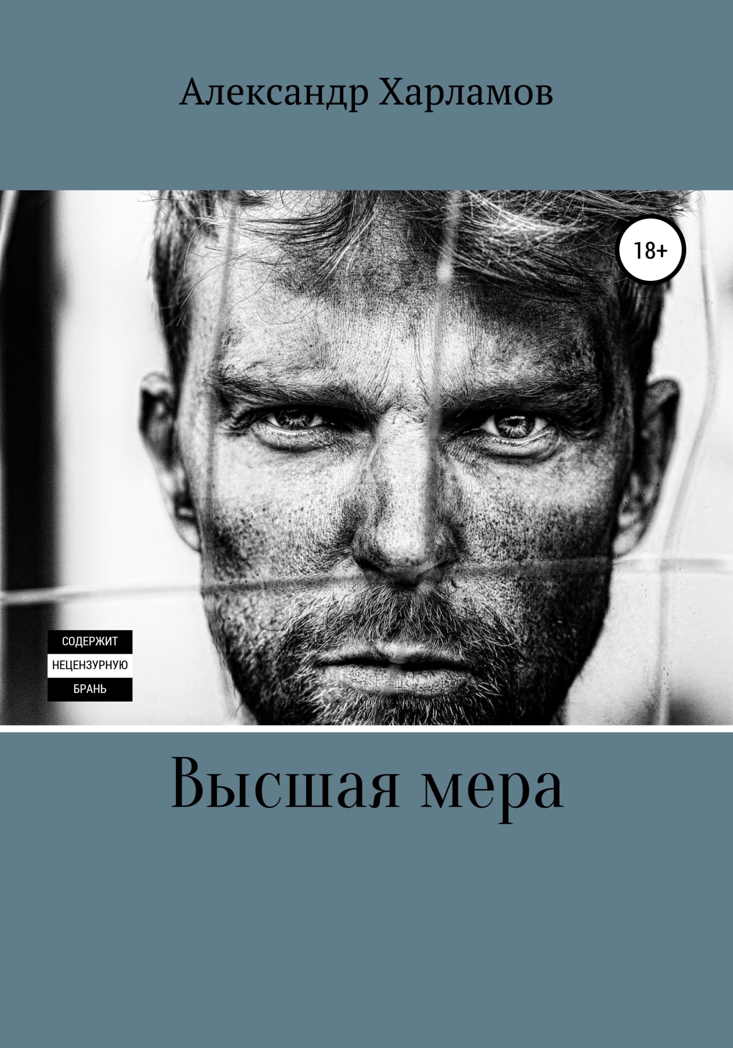 Обложка книги «Высшая мера»