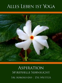 Обложка книги «Aspiration»