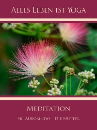 Обложка книги «Meditation»