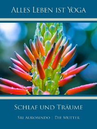 Обложка книги «Schlaf und Träume»