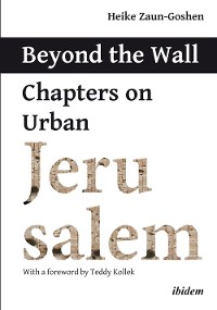 Обложка книги «Beyond the Wall»
