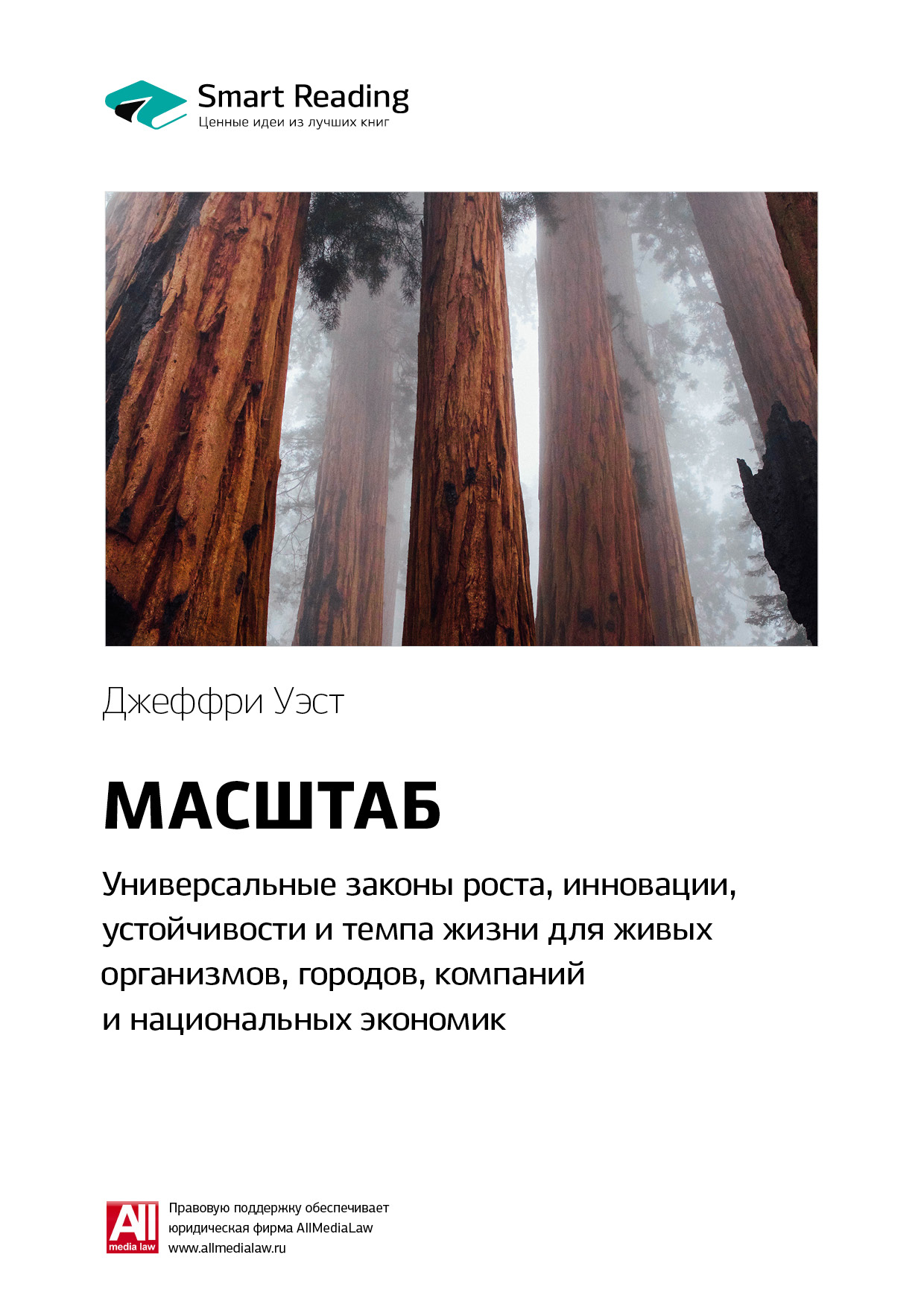 Обложка книги «Ключевые идеи книги: Масштаб: универсальные законы роста, инновации, устойчивости и темпа жизни для живых организмов, городов, компаний и национальных экономик. Джеффри Уэст»