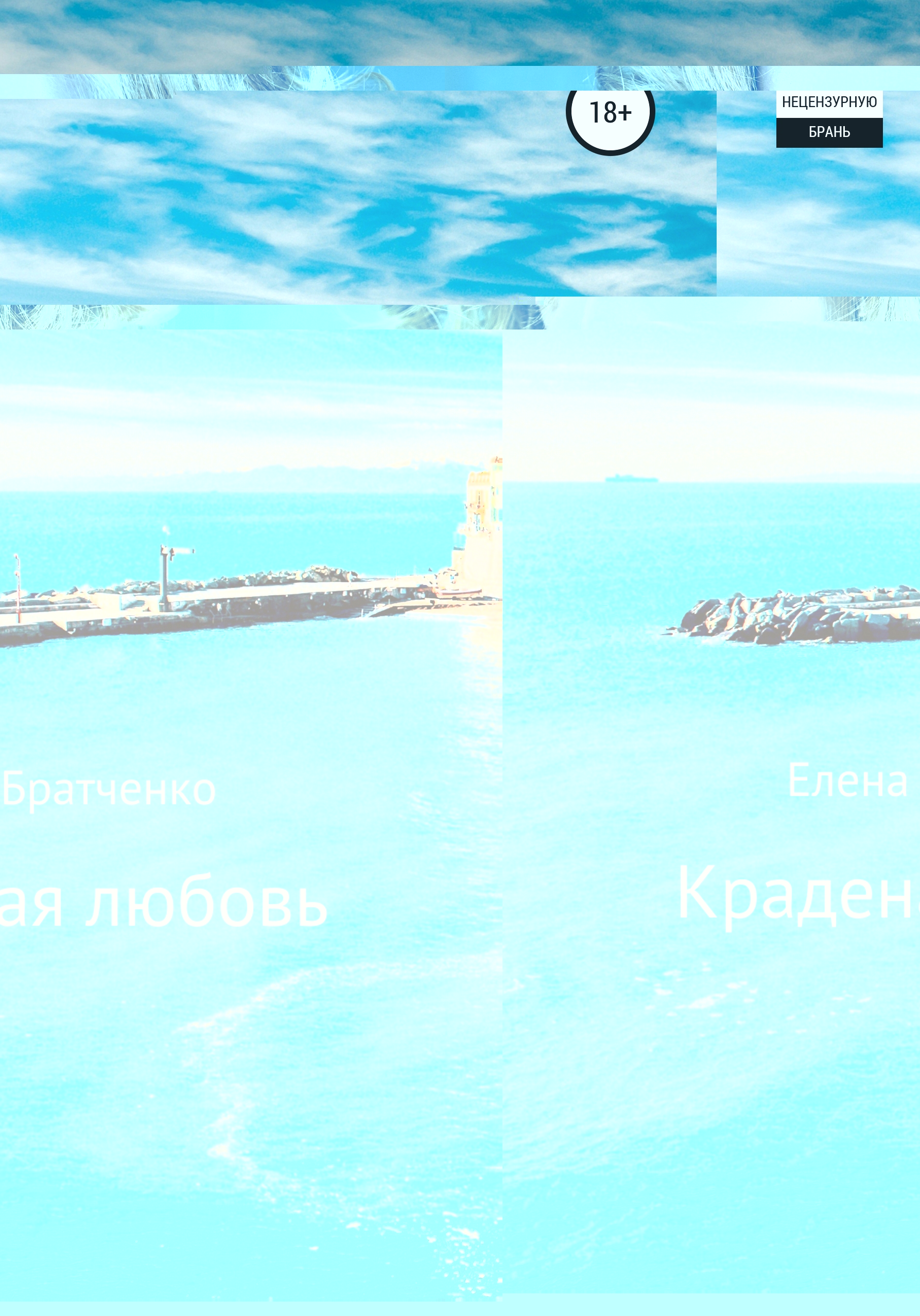 Обложка книги «Краденая любовь»