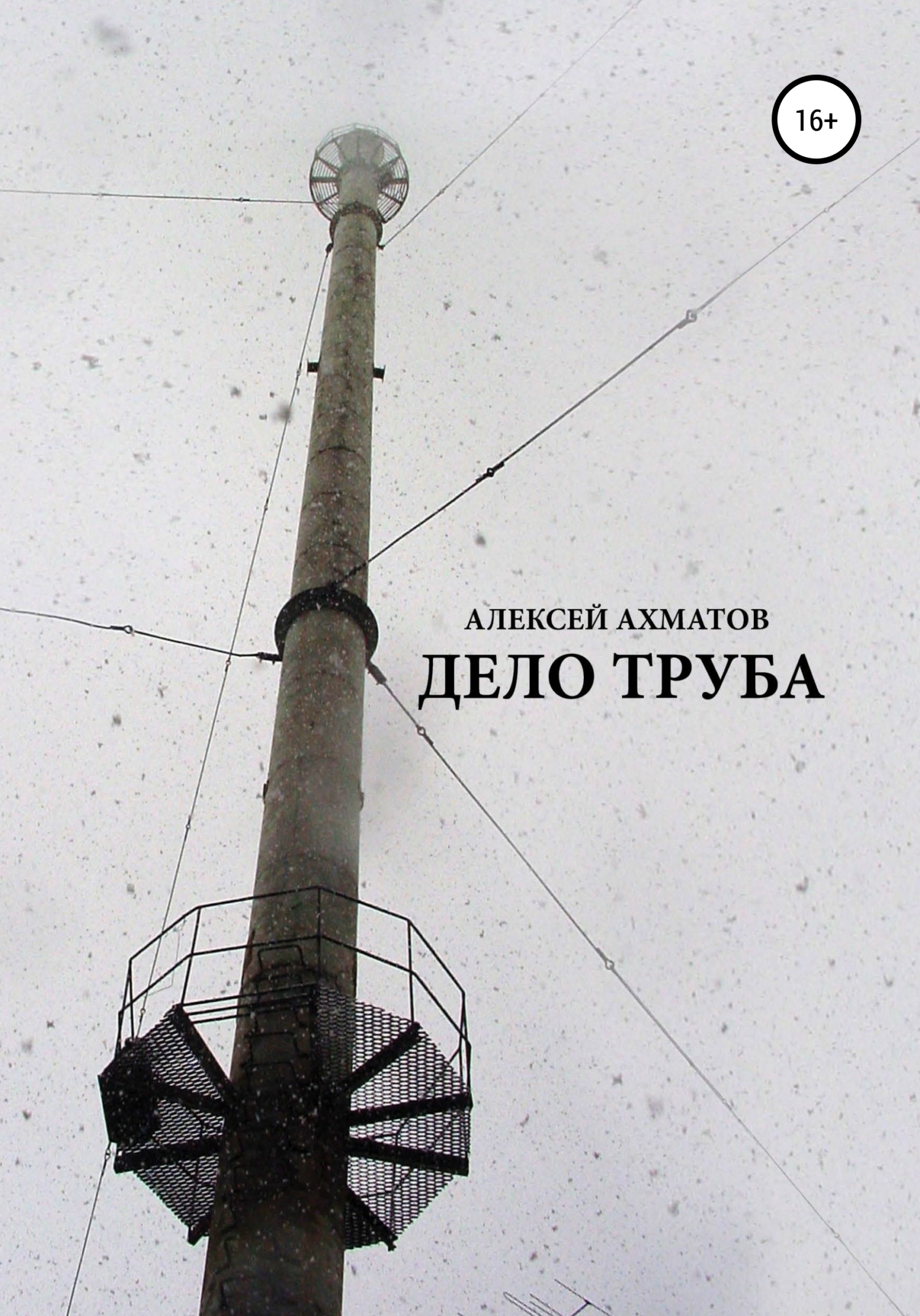 Обложка книги «Дело труба»