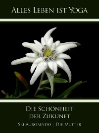 Обложка книги «Die Schönheit der Zukunft»