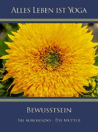 Обложка книги «Bewusstsein»