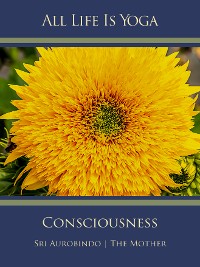 Обложка книги «All Life Is Yoga: Consciousness»