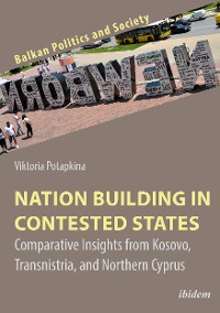 Обложка книги «Nation Building in Contested States»