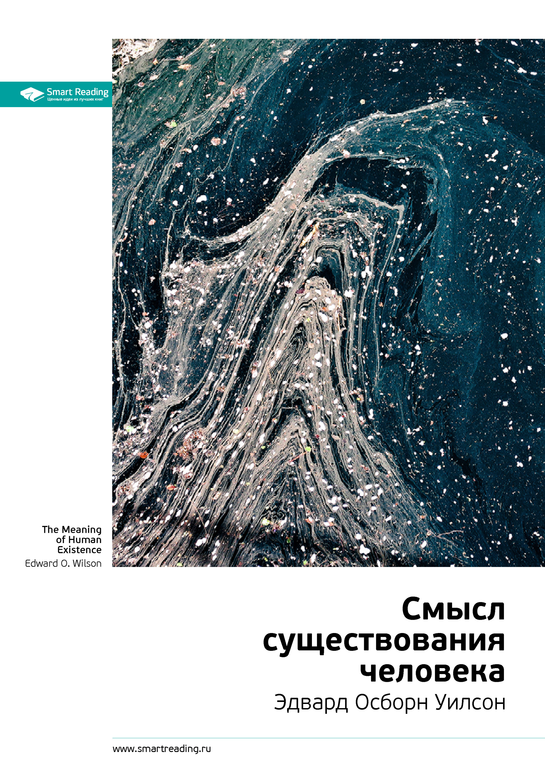 Обложка книги «Ключевые идеи книги: Смысл существования человека. Эдвард Осборн Уилсон»