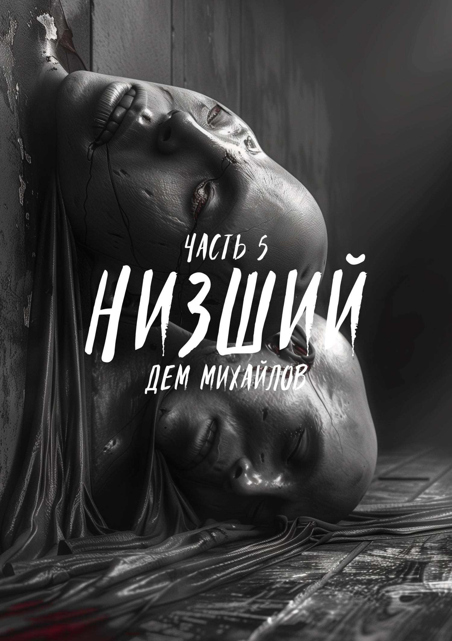 Обложка книги «Низший 5»