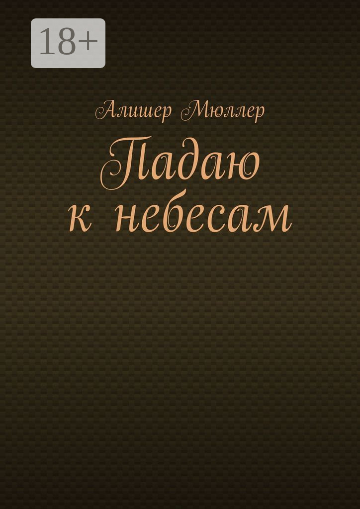 Обложка книги «Падаю к небесам»