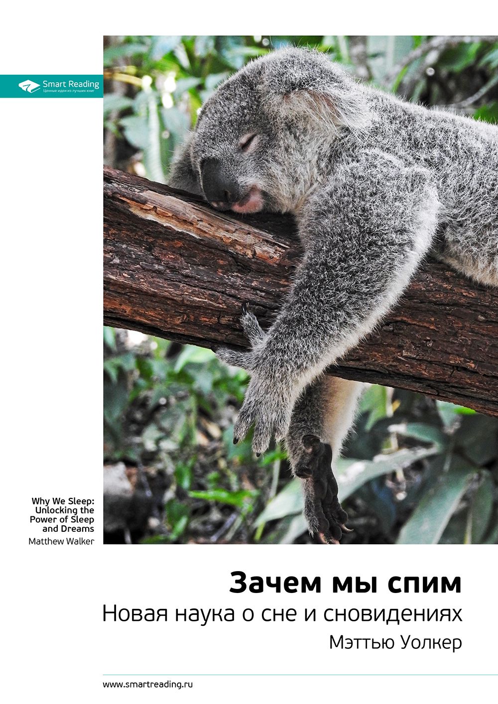 Обложка книги «Ключевые идеи книги: Зачем мы спим. Новая наука о сне и сновидениях. Мэттью Уолкер»