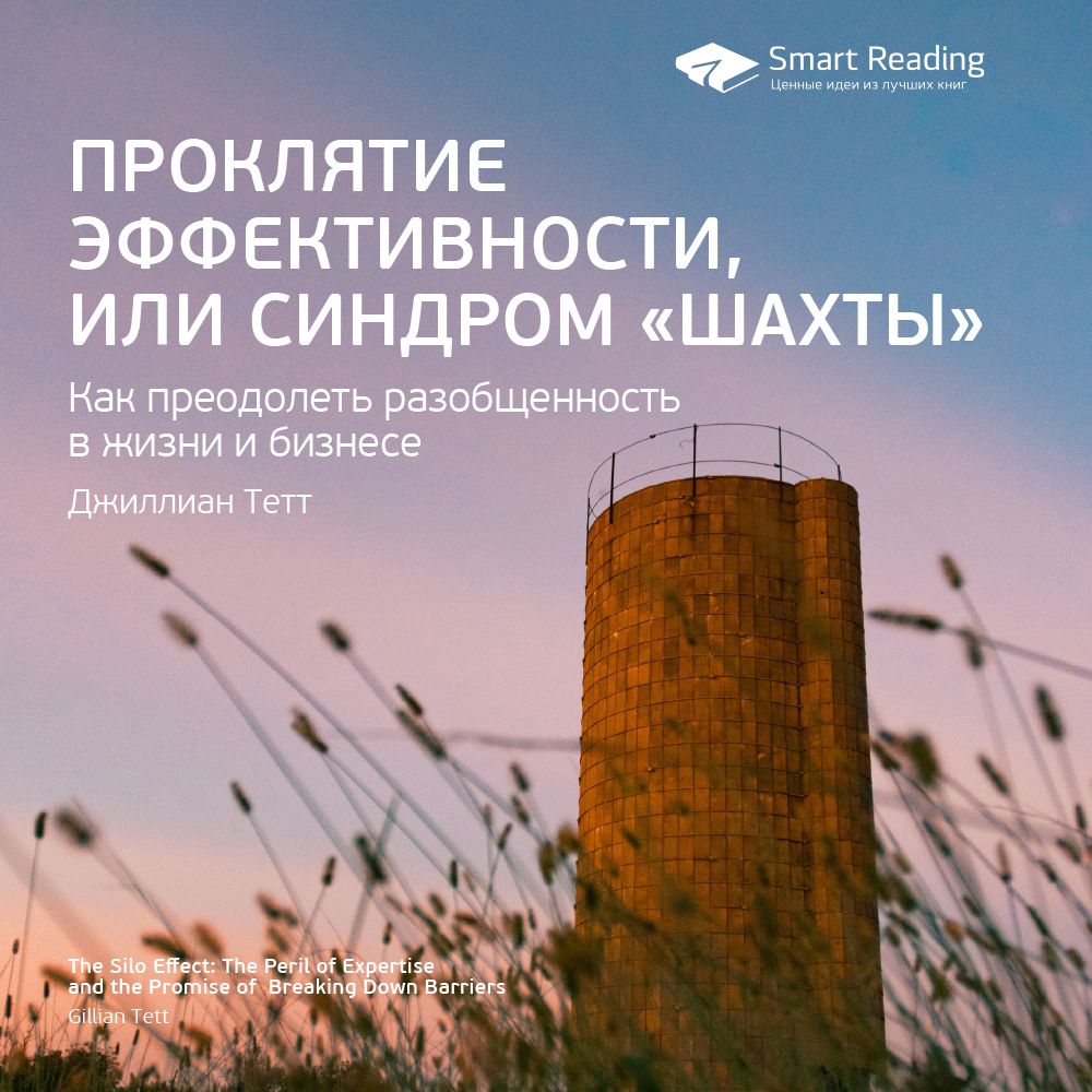 Обложка книги «Ключевые идеи книги: Проклятие эффективности, или Синдром «шахты». Джиллиан Тетт»