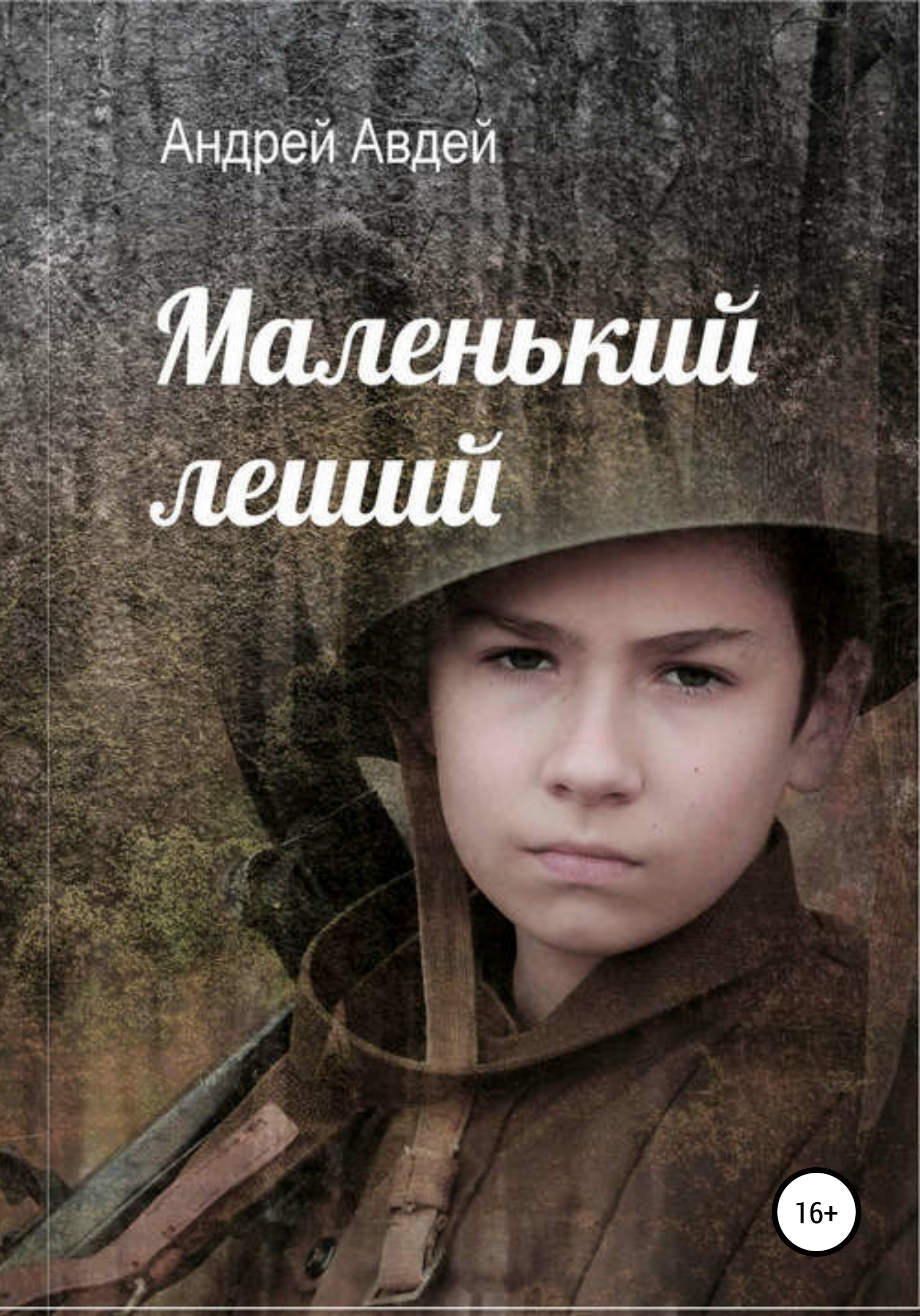 Обложка книги «Маленький Леший»