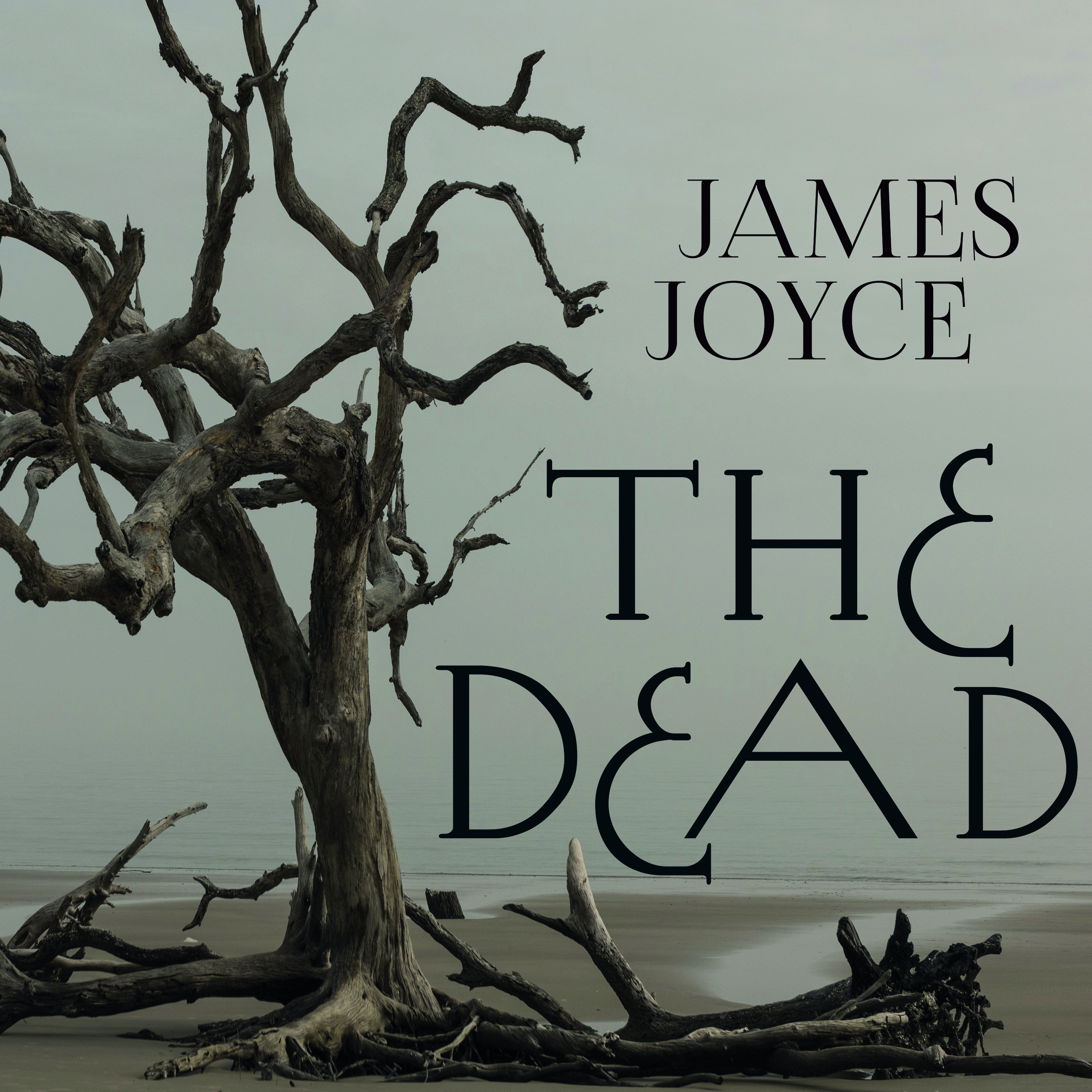 Обложка книги «The Dead»