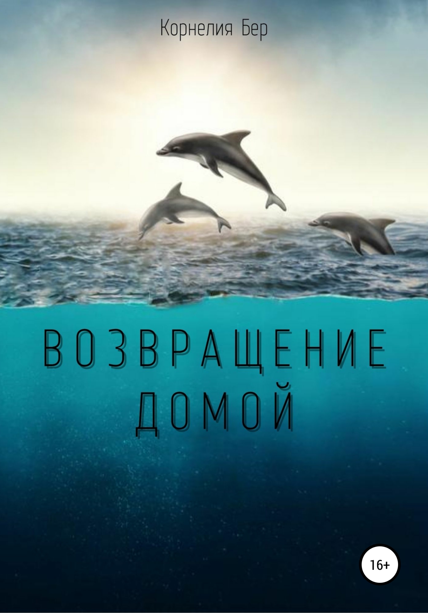 Обложка книги «Возвращение домой»