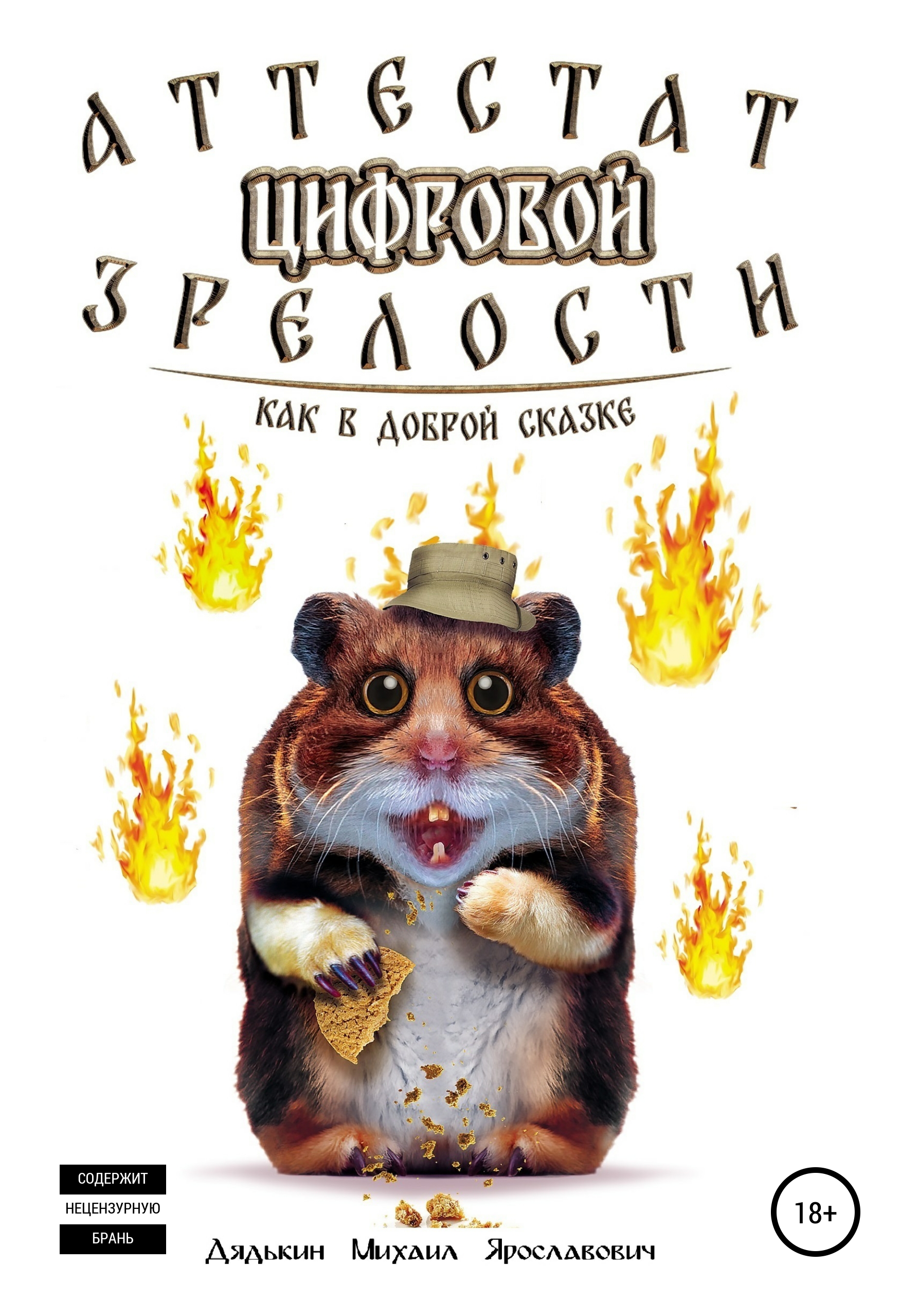 Обложка книги «Аттестат цифровой зрелости»