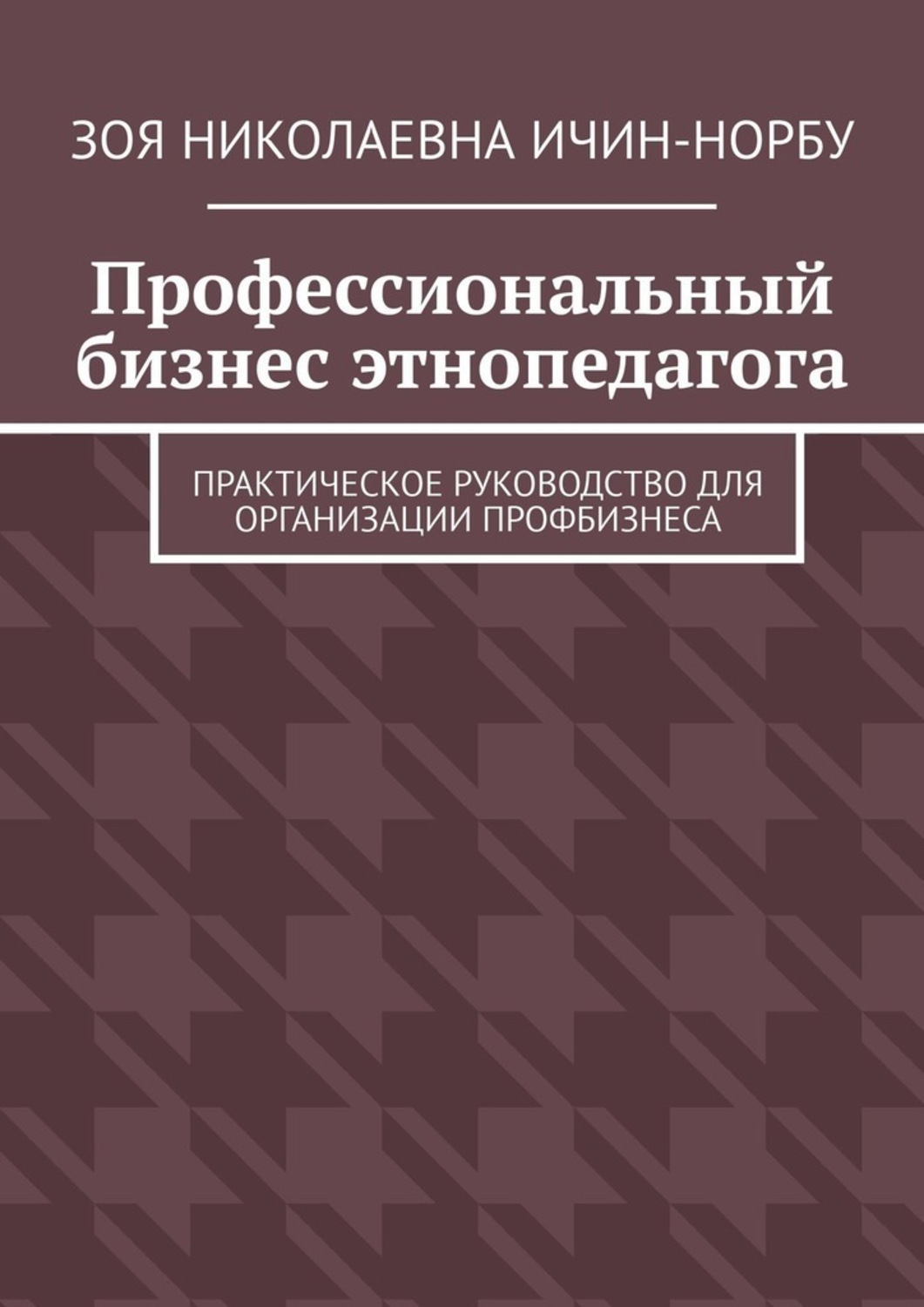 Обложка книги «Профессиональный бизнес этнопедагога. Практическое руководство для организации профбизнеса»