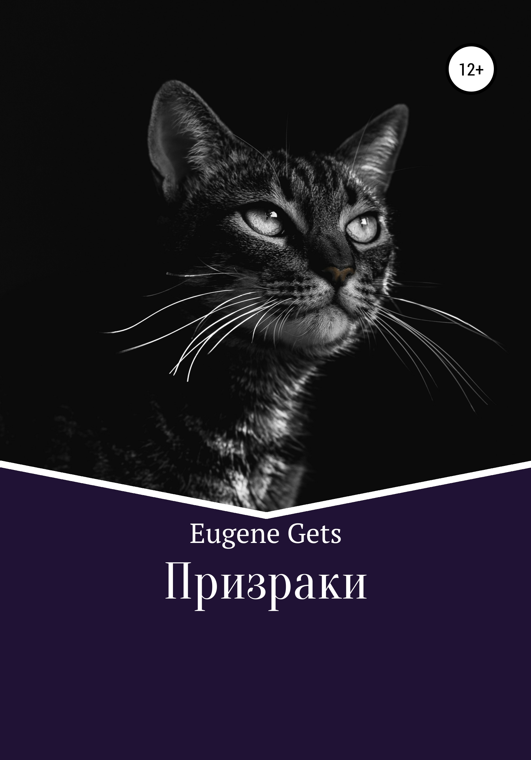 Обложка книги «Призраки»