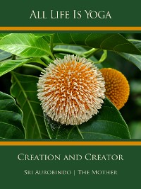 Обложка книги «All Life Is Yoga: Creation and Creator»