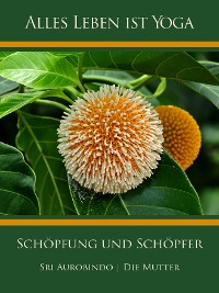 Обложка книги «Schöpfung und Schöpfer»