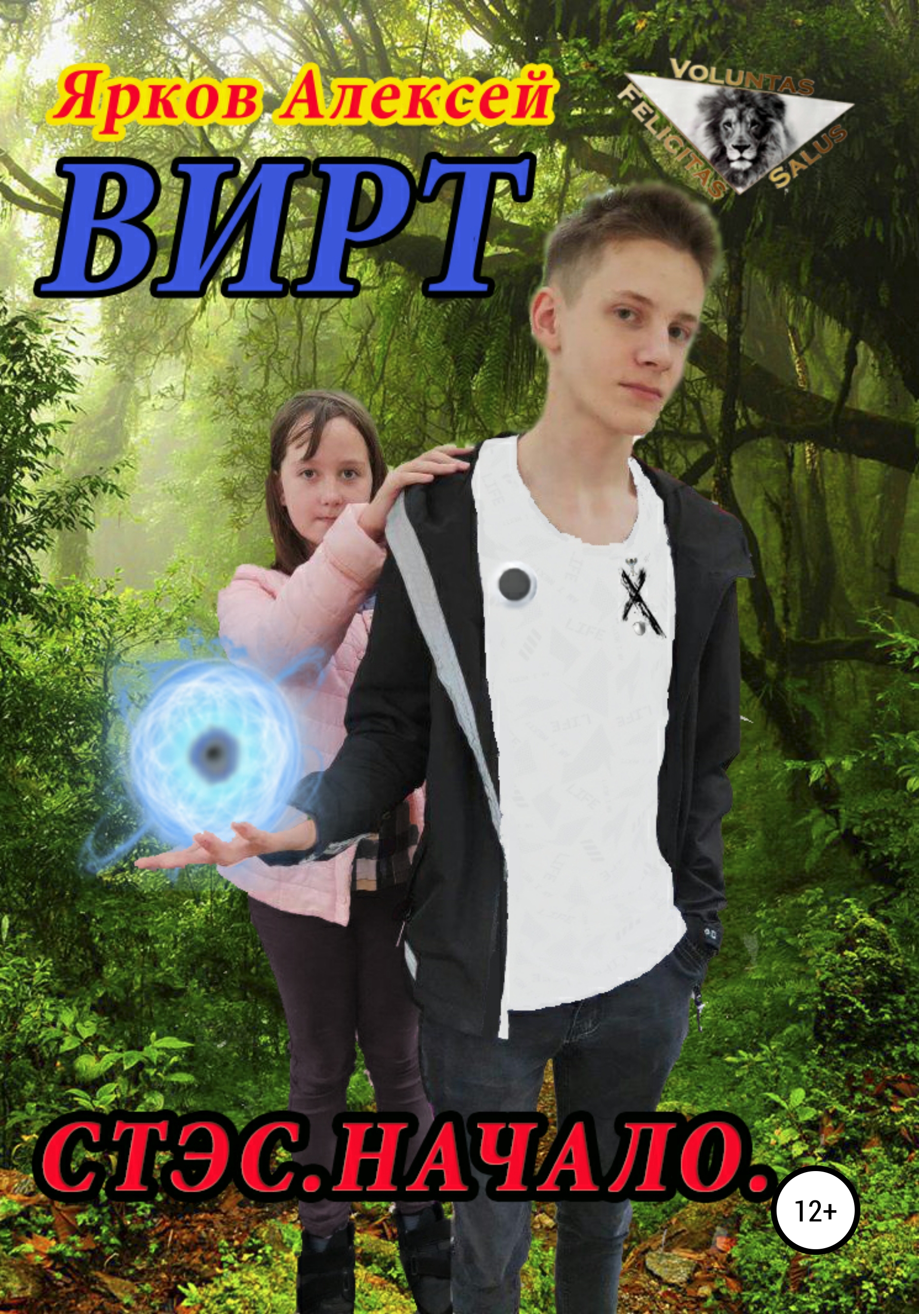 Обложка книги «ВИРТ. Стэс. Начало»