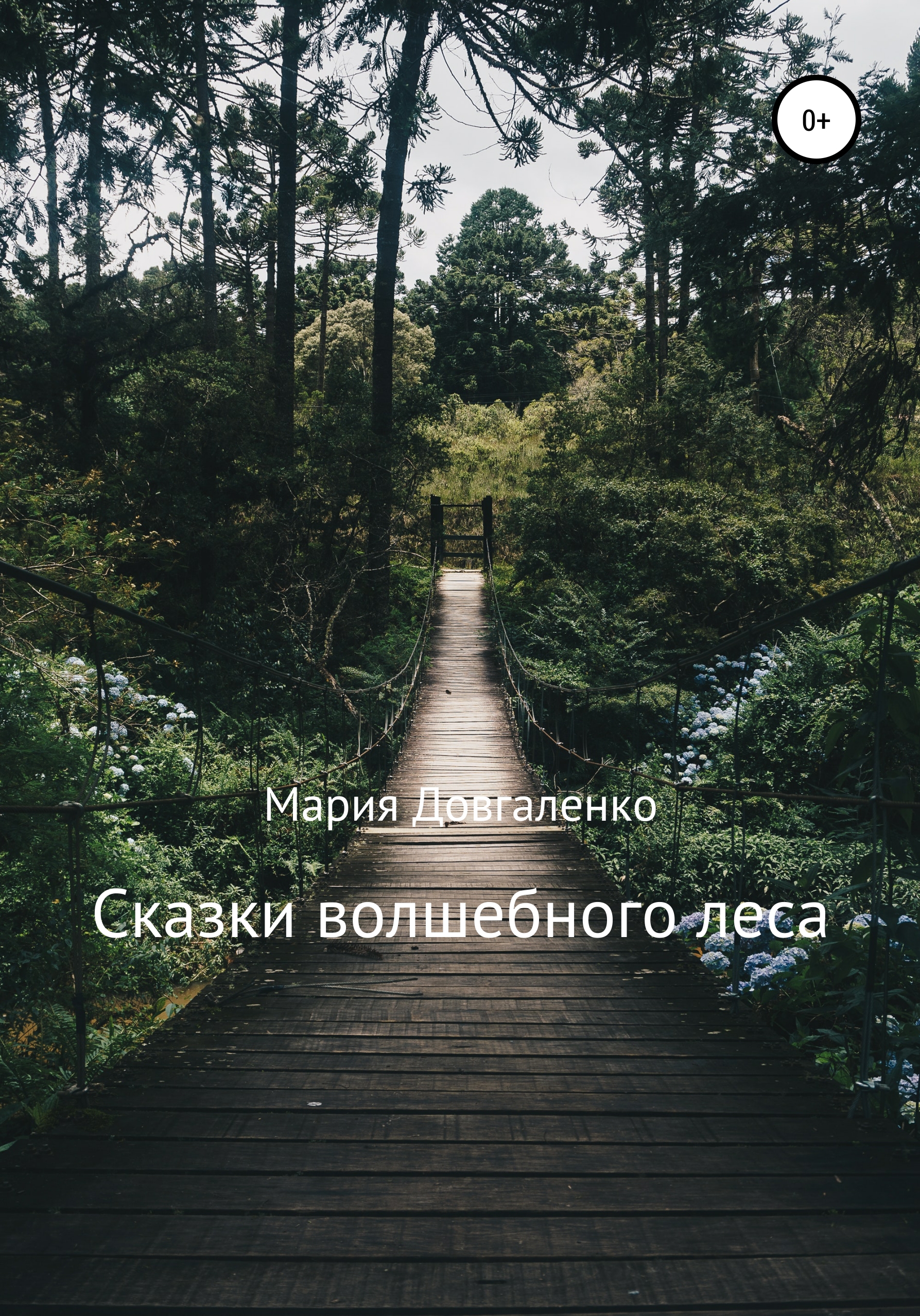Обложка книги «Сказки Волшебного леса»