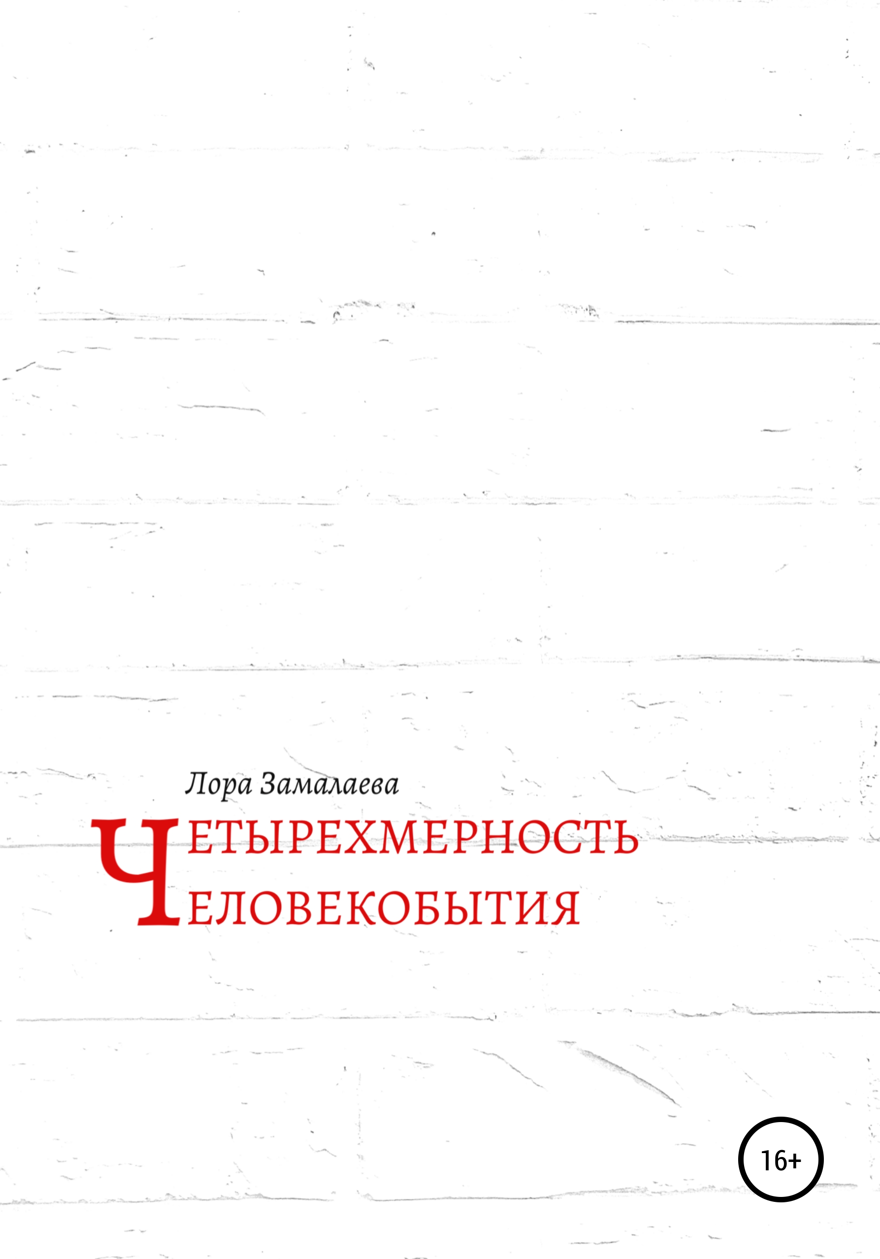 Обложка книги «Четырехмерность человекобытия»