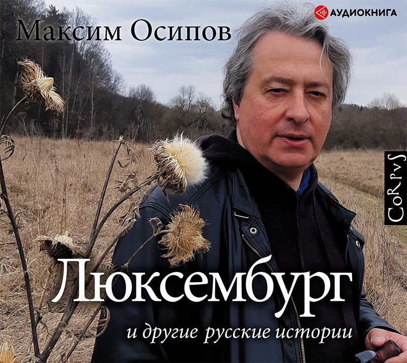 Обложка книги ««Люксембург» и другие русские истории»