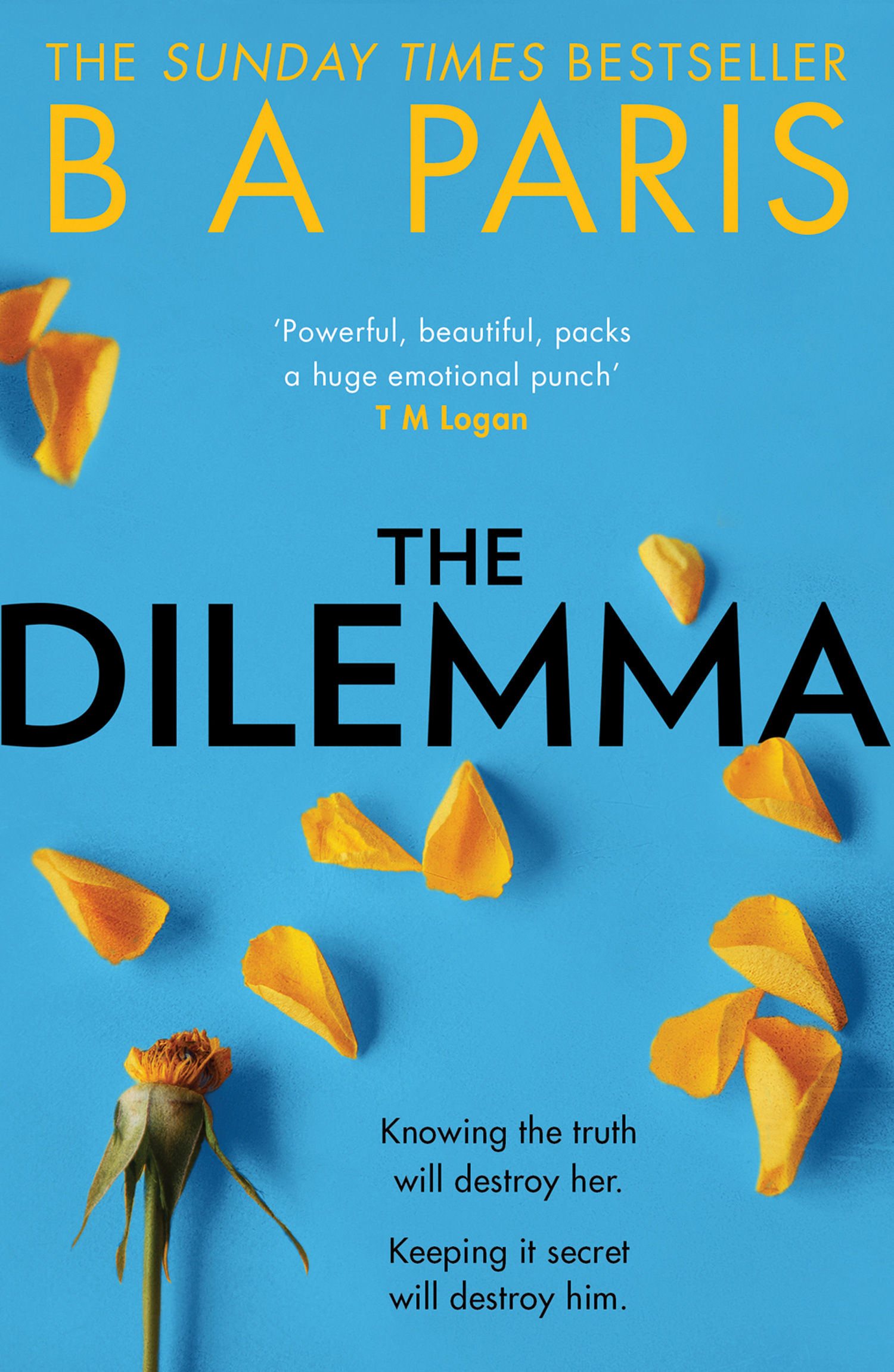 Обложка книги «The Dilemma»