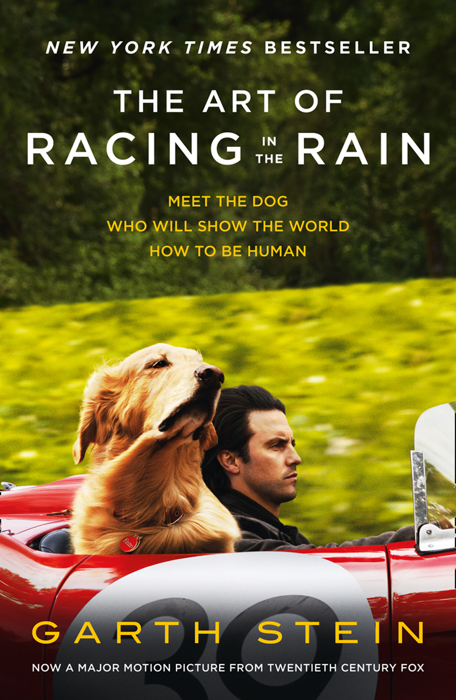 Обложка книги «The Art of Racing in the Rain»