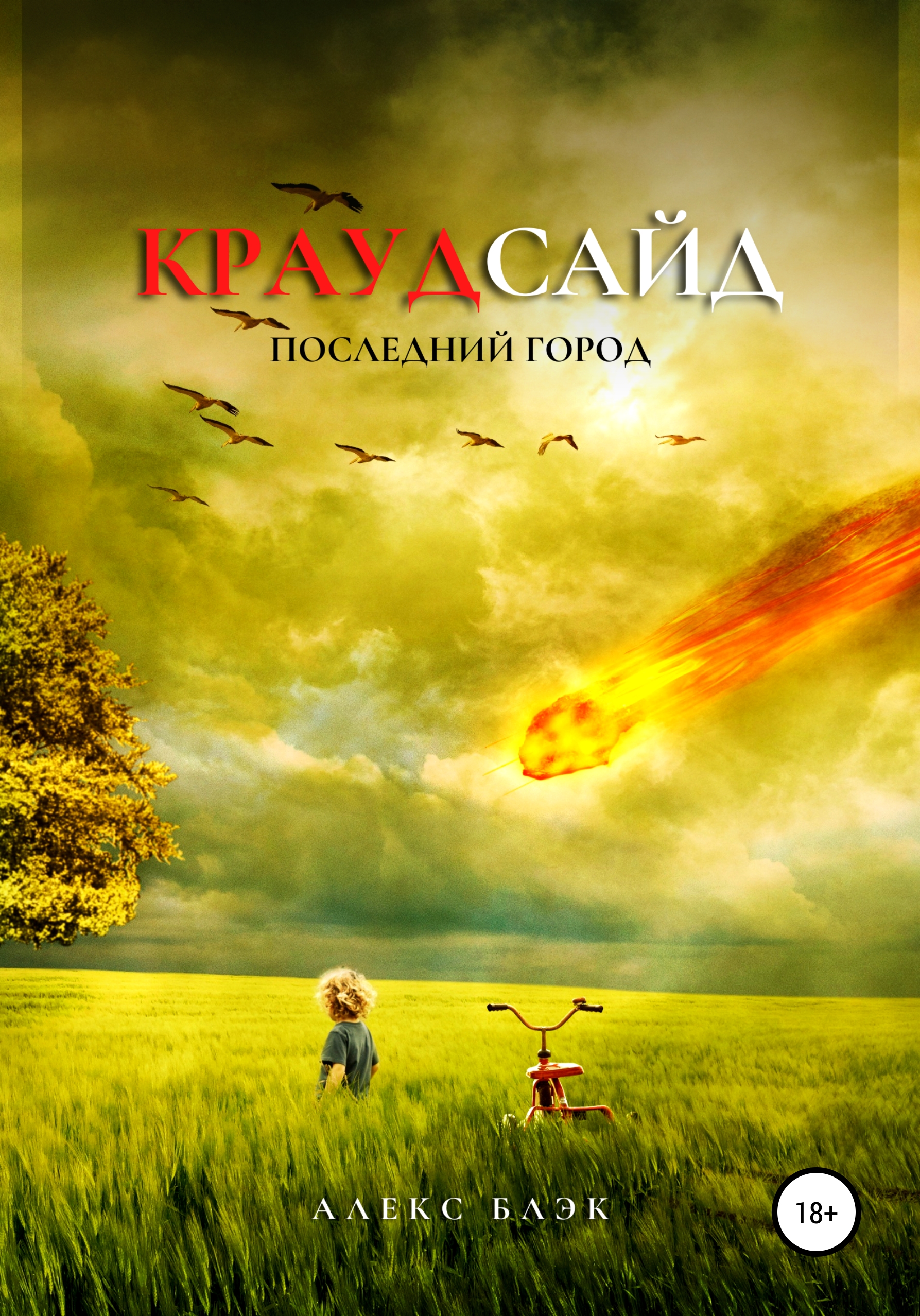 Обложка книги «Краудсайд»