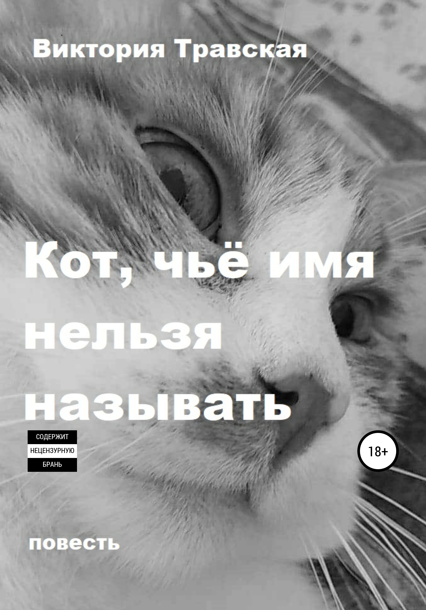 Обложка книги «Кот, чьё имя нельзя называть»