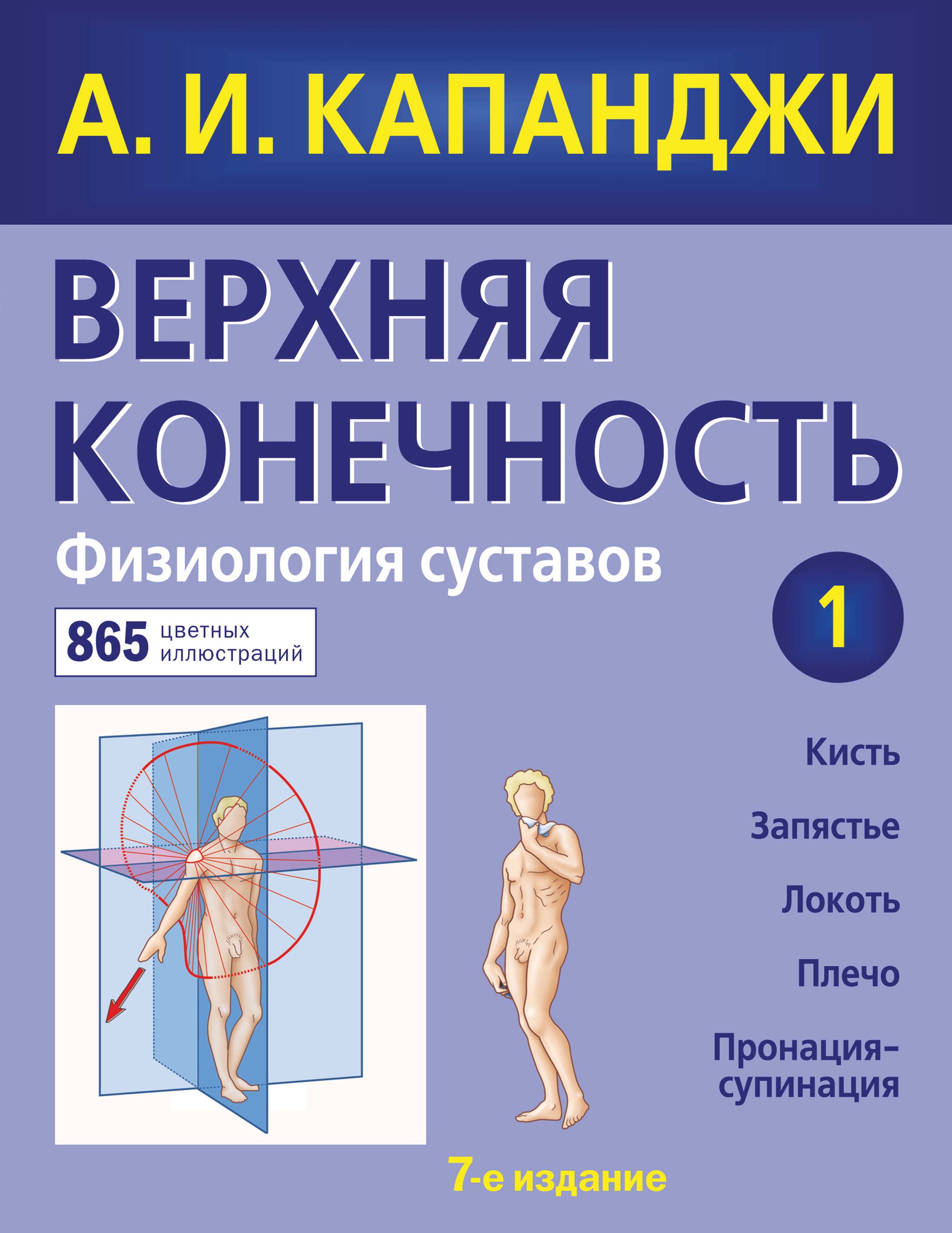 Обложка книги «Верхняя конечность. Физиология суставов»
