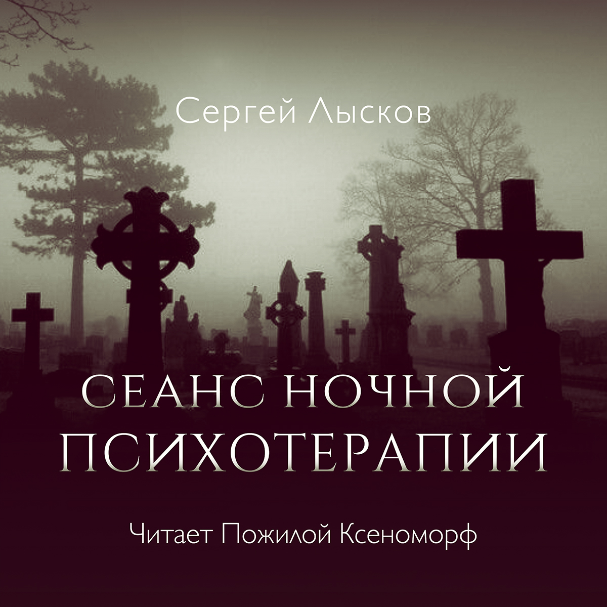 Обложка книги «Сеанс ночной психотерапии»