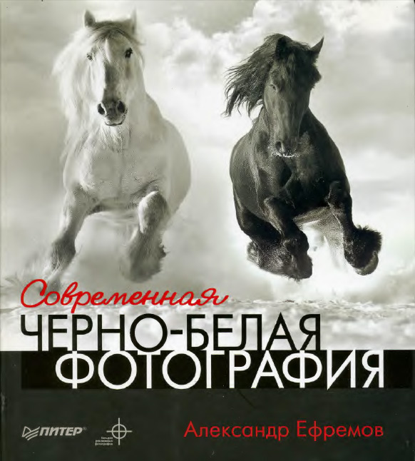 Обложка книги «Современная черно-белая фотография»